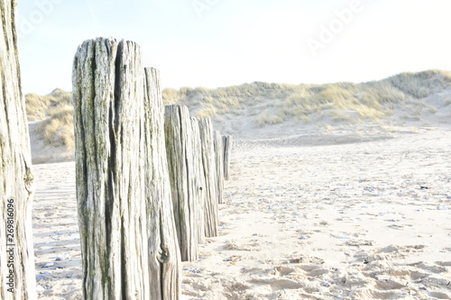 Dune des Hauts de France