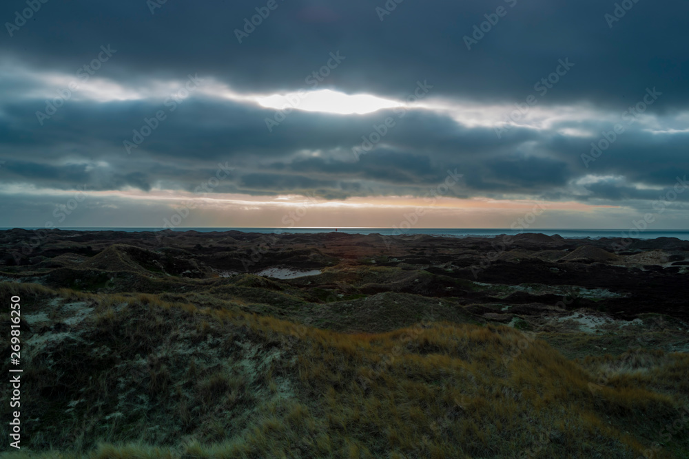 Dunes on the North Frisian Island Amrum in Germany