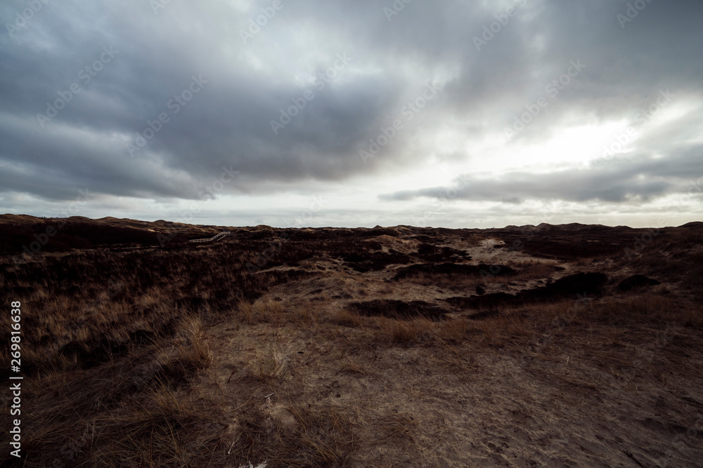 Dunes on the North Frisian Island Amrum in Germany