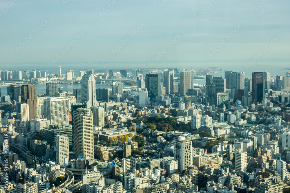 Aerial View Of Tokyo City Buildings Against Cloudy Sky Aerial View Of Tokyo City Buildings Against Cloudy Sky