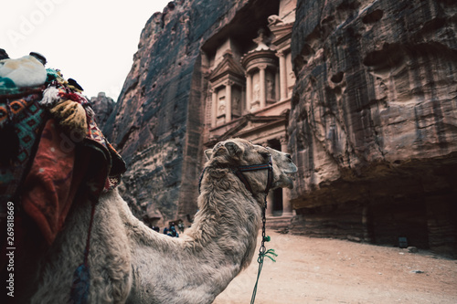 Camel and tourists in front of ancient temple in rock face in Al Khazneh, Petra, Jordan