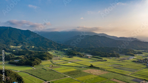 summer rice field aerial footage in Japan_01