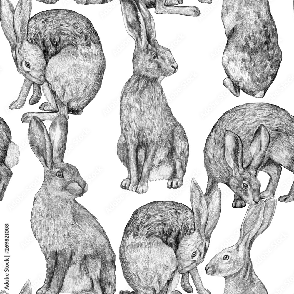 Realistic Rabbit Illustration