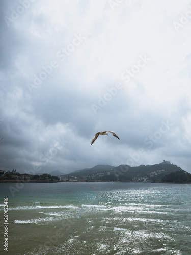 Seagull flying over San Sebastian on a cloudy day