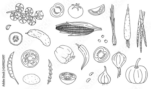 Vegetables hand drawn style white color on black background