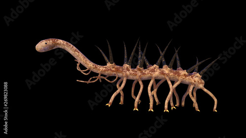 Hallucigenia  prehistoric aquatic animal from the Cambrian Period isolated on black background  3d science rendering 