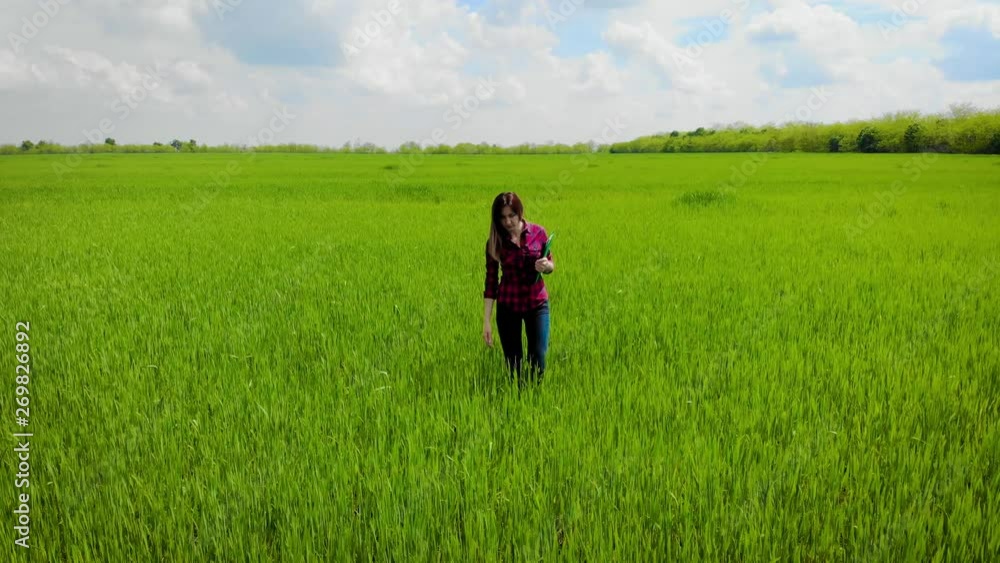 Aerial view of woman agronomist with folder and documents is walking on field and examines green shoots of wheat. Drone shoots video about technology of agricultural food products and concept of Aerial view of woman agronomist with folder and documents is walking on field and examines green shoots of wheat. Drone shoots video about technology of agricultural food products and concept of