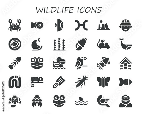 wildlife icon set