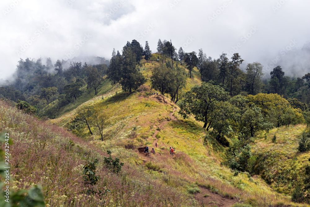 Obraz premium Hiking and Trekking at Mount Rinjani, Lombok Island, Indonesia