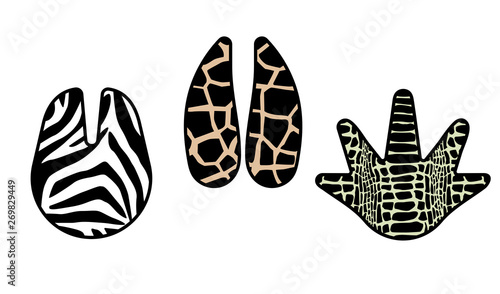 Set of paw print: zebra, crocodile and giraffe. Trendy animal print. Fashion vector illustration for print.