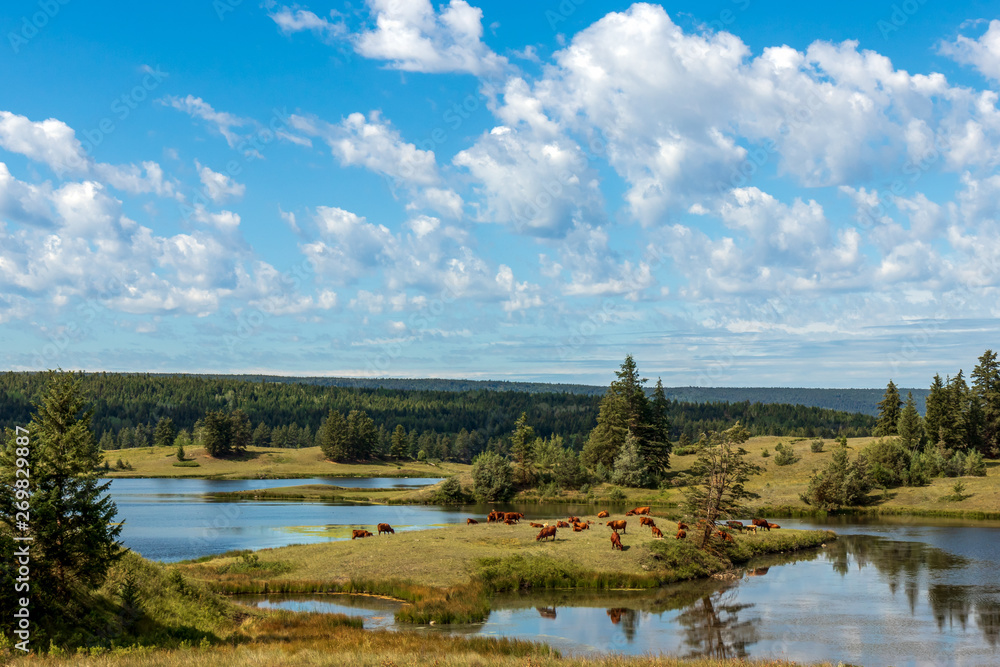 Obraz premium Seenlandschaft