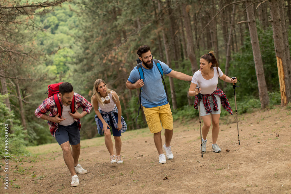 Fototapeta premium Happy young group hiking together through the forest