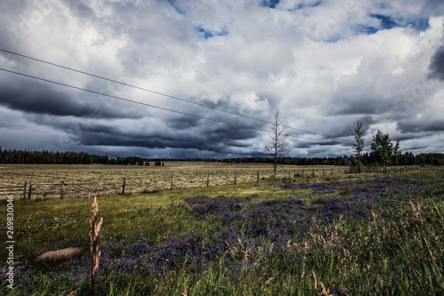 Wildes Land in British Columbia