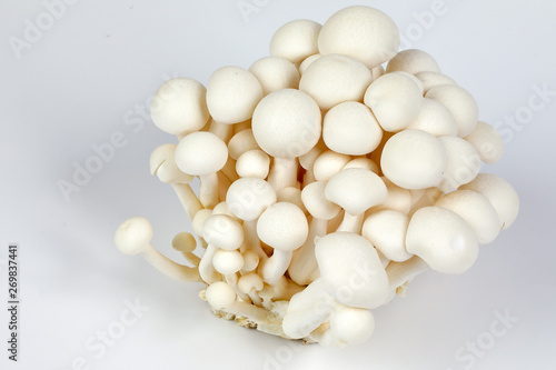 White brown shimeji mushroom on white background