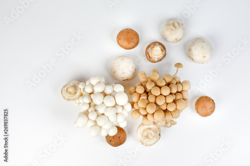 Mix white brown shimeji button mushroom on white background
