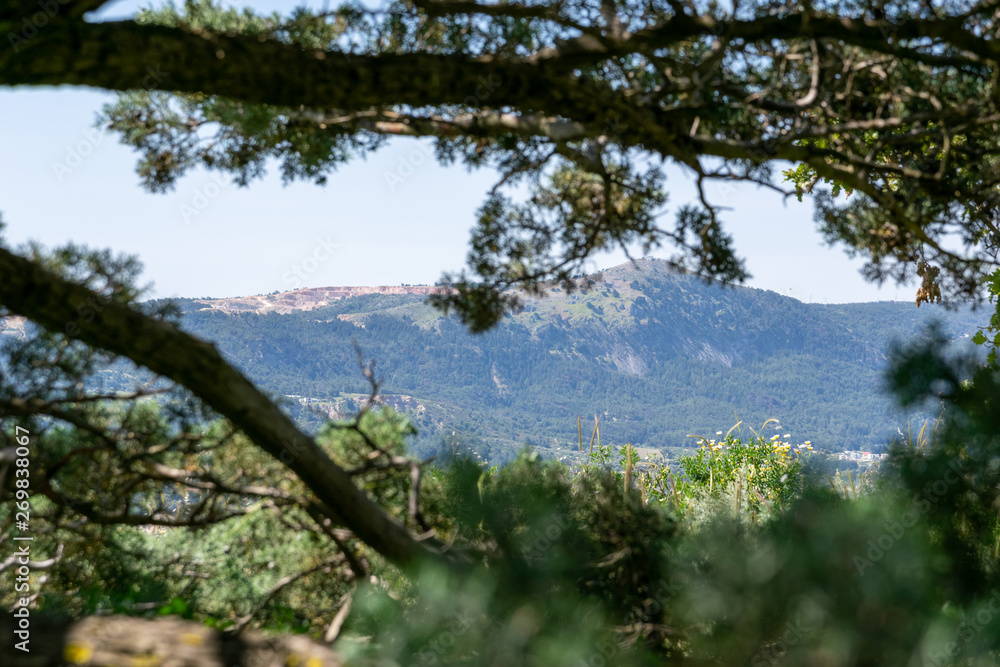 view of the mountains and the valley through the tree branches view of the mountains and the valley through the tree branches