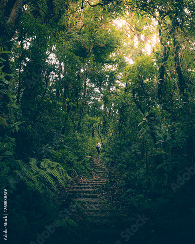 Woman walking alone in the jungle of Costa Rica.