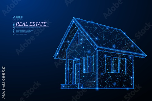 Abstract polygonal light design of house building symbol