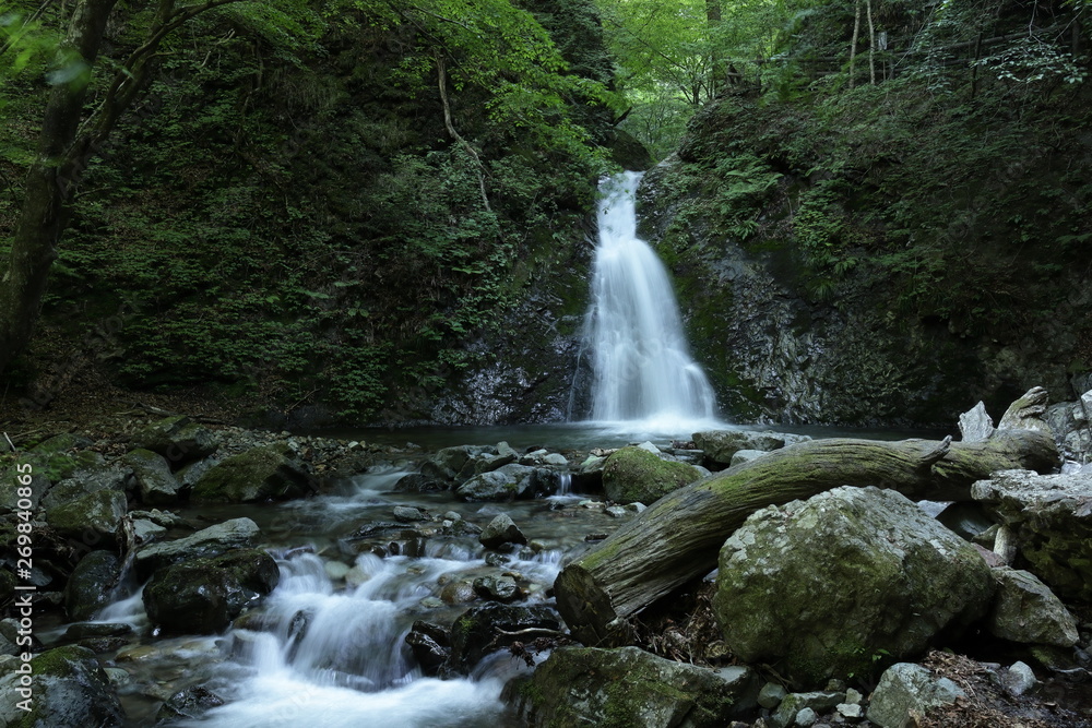 Fototapeta premium 風挙の滝