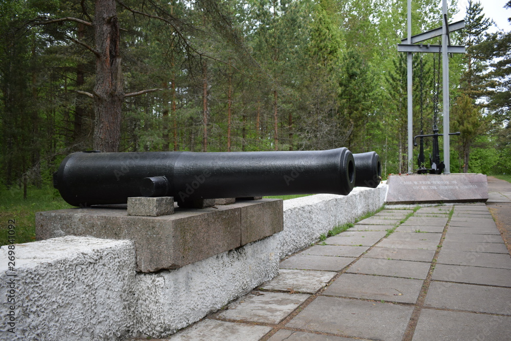 cannon in moscow kremlin