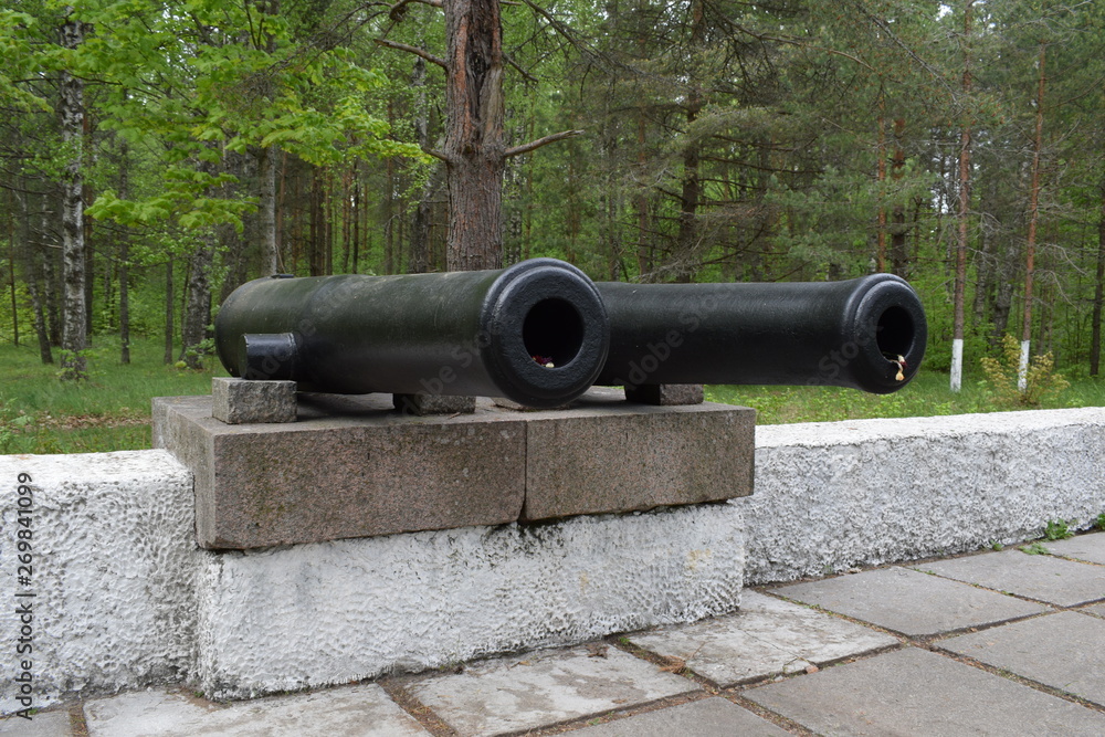 cannon on wall of the kremlin cannon on wall of the kremlin
