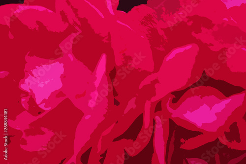 bright pink colorful rose illustration