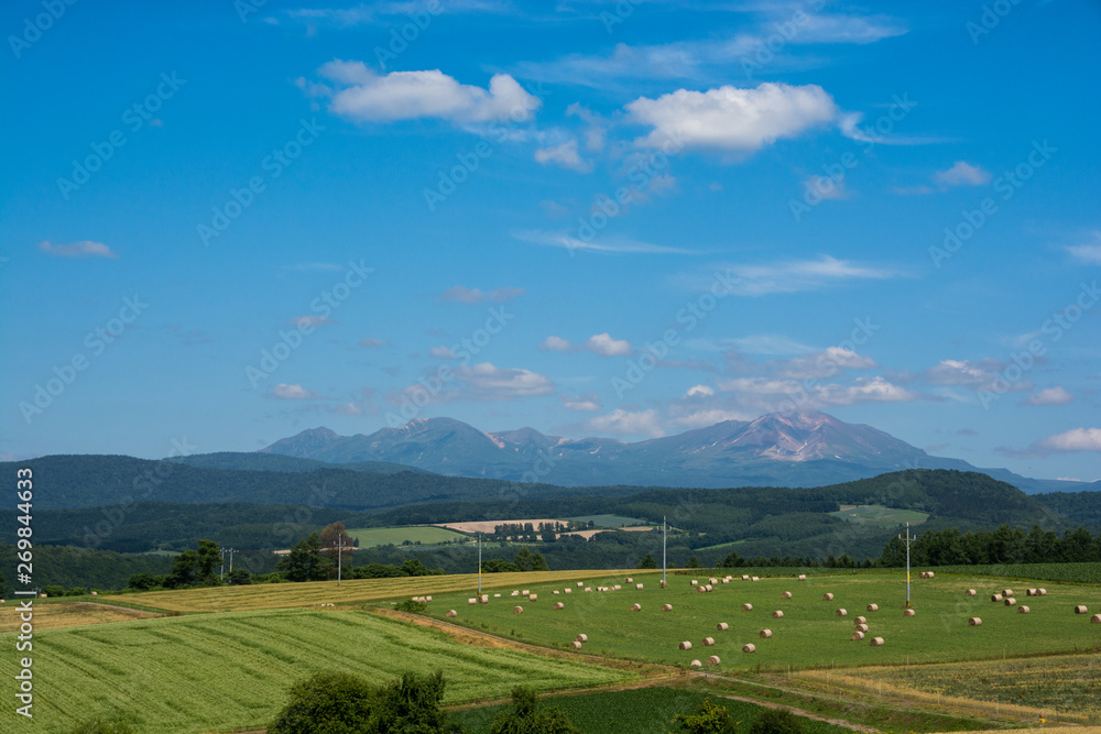牧草畑と夏の山並み