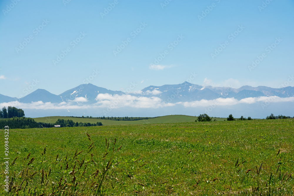 Fototapeta premium 草原と夏山と青空