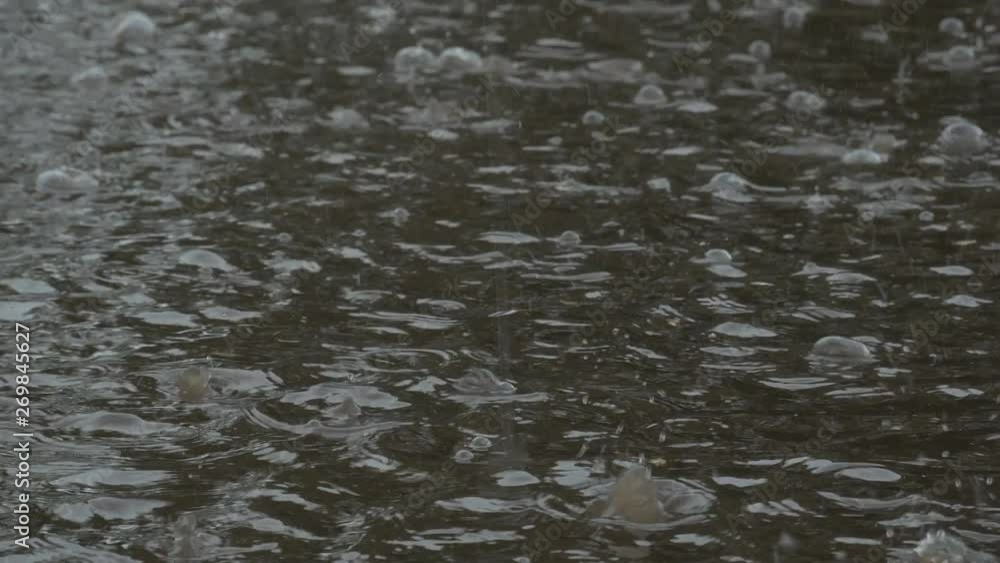 Large drops of rainwater fall on the asphalt, pavement, in a puddle. flood in the rainy season Large drops of rainwater fall on the asphalt, pavement, in a puddle. flood in the rainy season