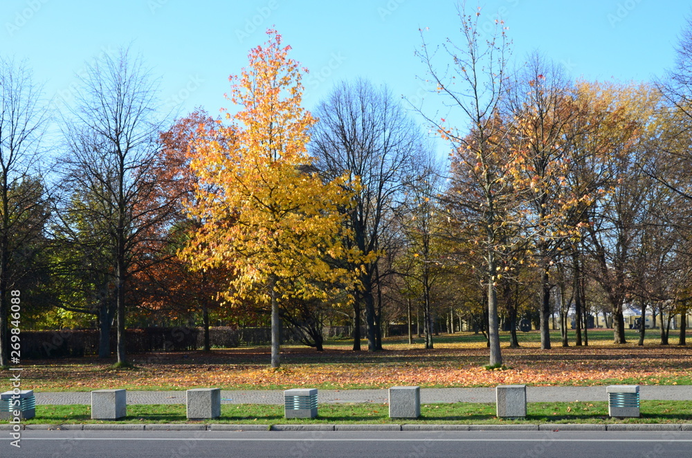 The Park of Tiergarten, Berlin