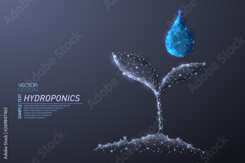 Abstract polygonal light design of growing sprout and clean water drop