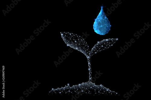 Canvas Print Abstract polygonal light design of growing sprout and clean water drop