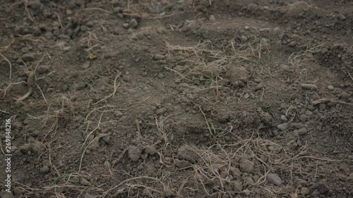 Wallpaper Mural Shot back organic soil on sunrise light top view shot nature agricultural earth field garden natural organic rural close up macro slow motion Torontodigital.ca