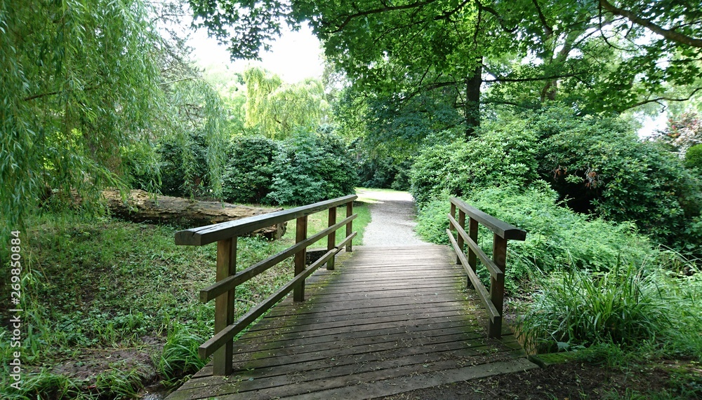 Obraz premium wooden bridge in the forest