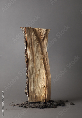 The beauty of a dead tree