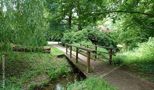 wooden bridge in the forest