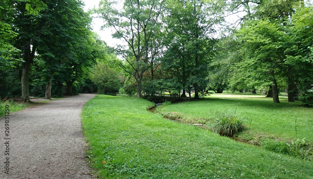 Naklejka premium small stream in the park