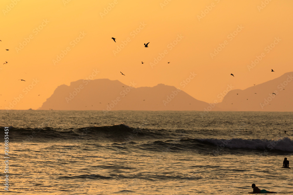 Fototapeta premium Silhouette of surfers and seagulls against the backdrop of the setting sun over the coastline of the Pacific Ocean. Lima. Peru. Soft focus