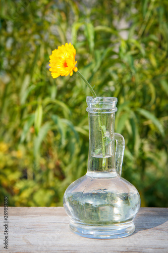 Calendula flower with a stem in a glass flask on wooden boards.