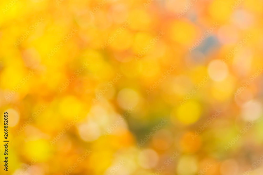 Focus blurred Maple Leaves for flowers blurred background. view of maple blossom on branches with focus blurred. Focus blurred Maple Leaves for flowers blurred background. view of maple blossom on branches with focus blurred.