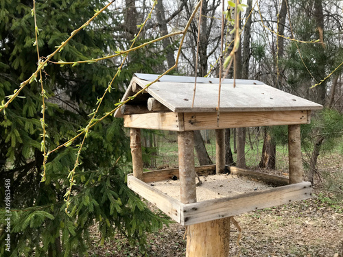 bird feeder in the spring forest. Bird in the birdhouse