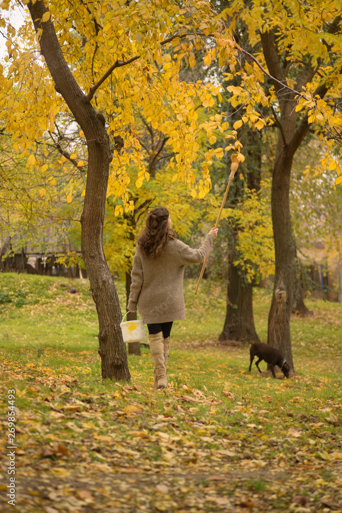 woman painting leaves in autumn park woman painting leaves in autumn park