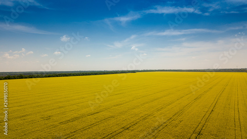 Beautiful Ukrainian land with Ukrainian national colors 