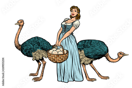 ostrich farm eggs. woman peasant farmer