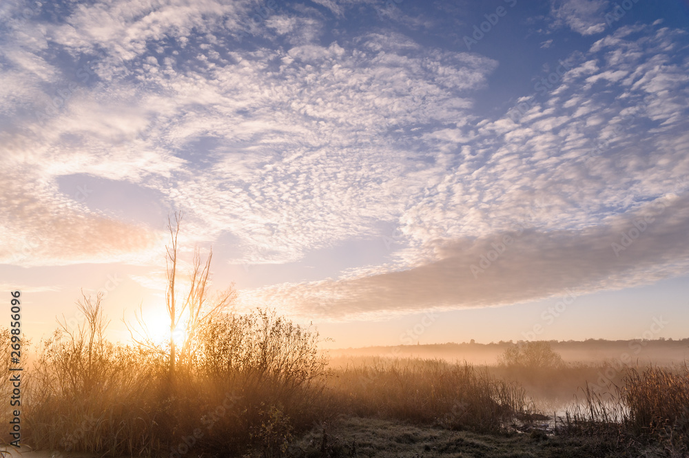 Fototapeta premium Dawn over the river on a summer morning, fog over the field, grass with hoarfrost