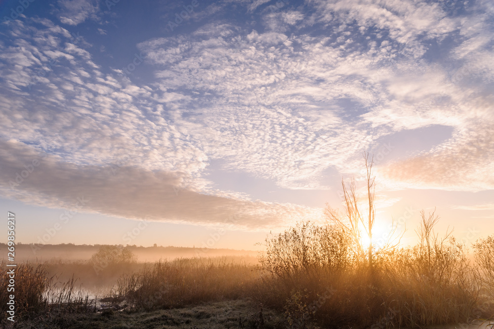 Fototapeta premium Dawn over the river on a summer morning, fog over the field, grass with hoarfrost