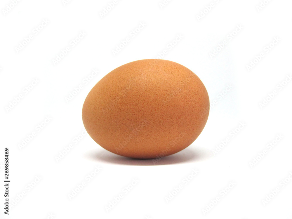 1 Egg isolated on white background 1 Egg isolated on white background
