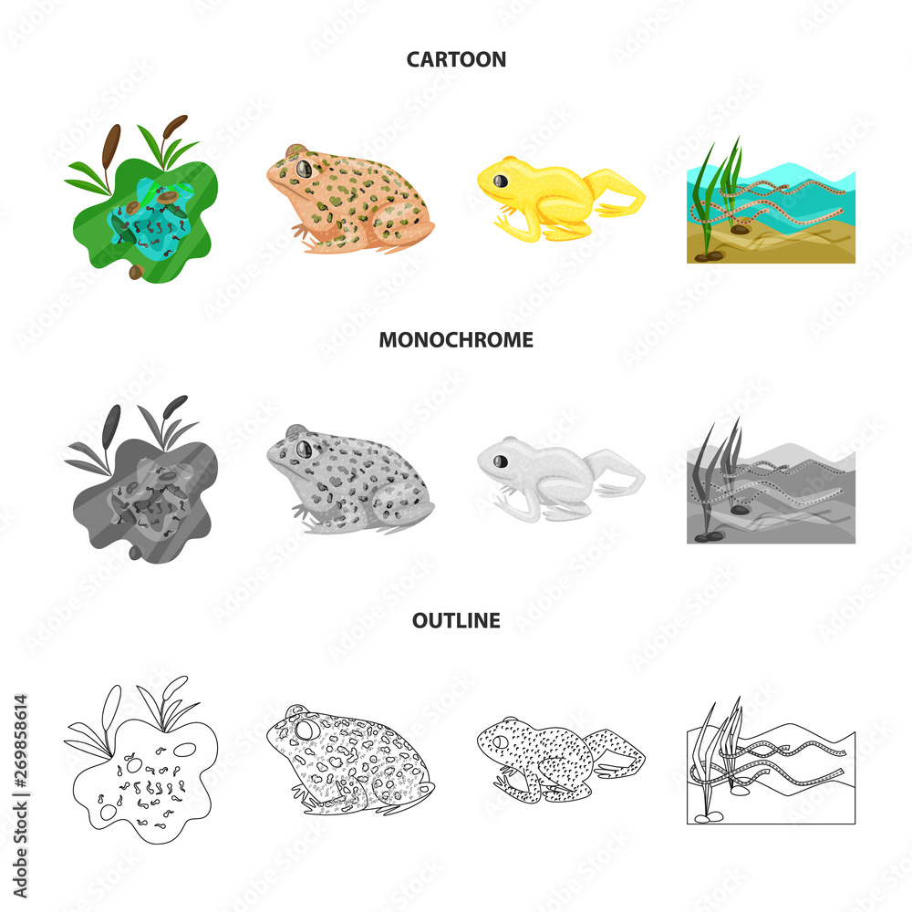 Isolated object of wildlife and bog symbol. Set of wildlife and reptile vector icon for stock. Isolated object of wildlife and bog symbol. Set of wildlife and reptile vector icon for stock.