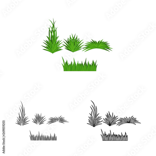 Vector design of grass and bush icon. Set of grass and garden stock vector illustration.