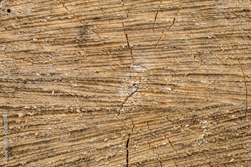 Brownish Weathered Cracked Cut Wood Texture